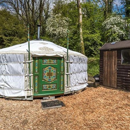 Pembrokeshire Yurts - Badger Hotel Llanfyrnach ภายนอก รูปภาพ