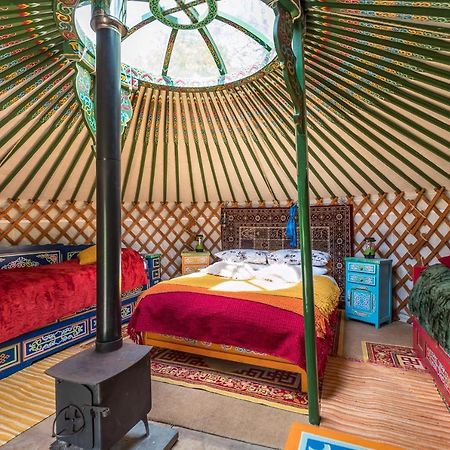 Pembrokeshire Yurts - Badger Hotel Llanfyrnach ภายนอก รูปภาพ