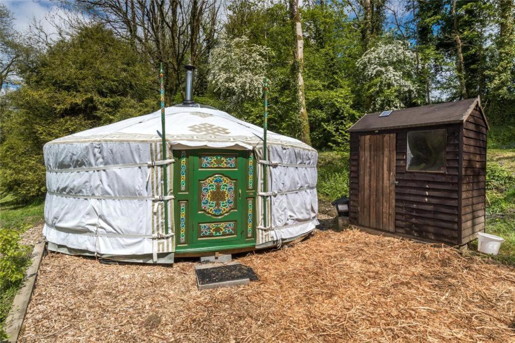 Pembrokeshire Yurts - Badger Hotel Llanfyrnach ภายนอก รูปภาพ