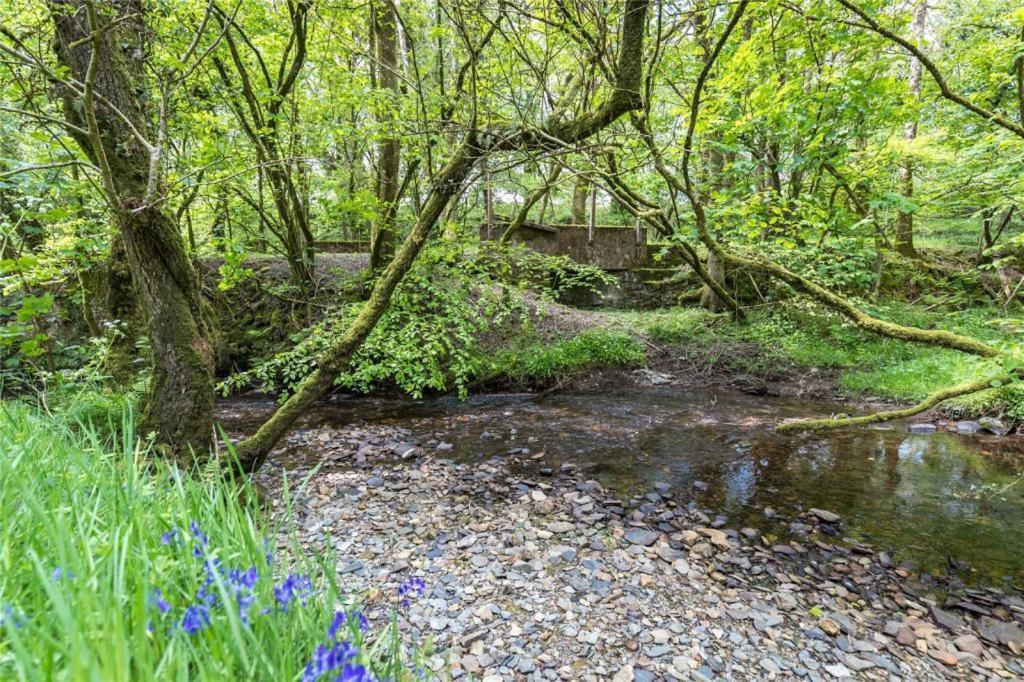 Pembrokeshire Yurts - Badger Hotel Llanfyrnach ภายนอก รูปภาพ