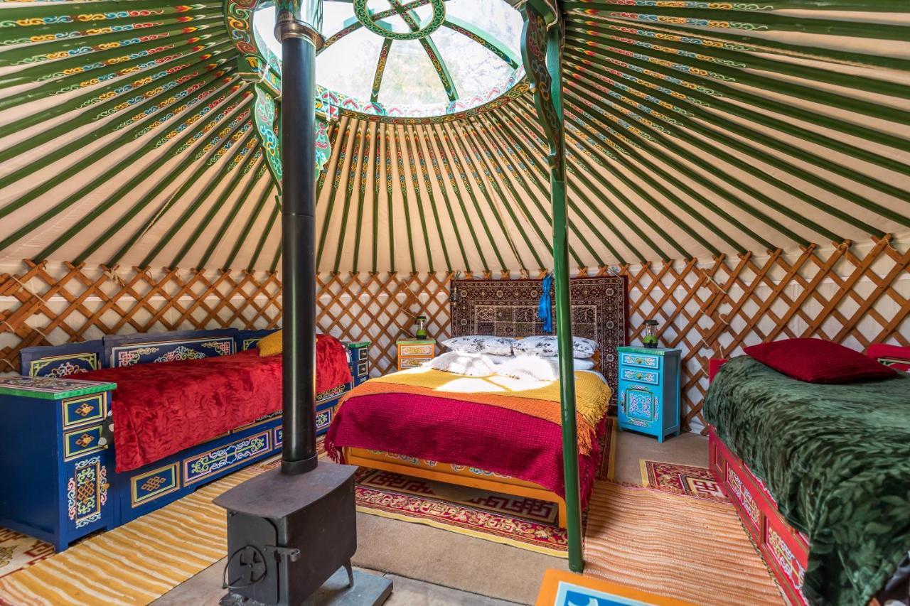 Pembrokeshire Yurts - Badger Hotel Llanfyrnach ภายนอก รูปภาพ